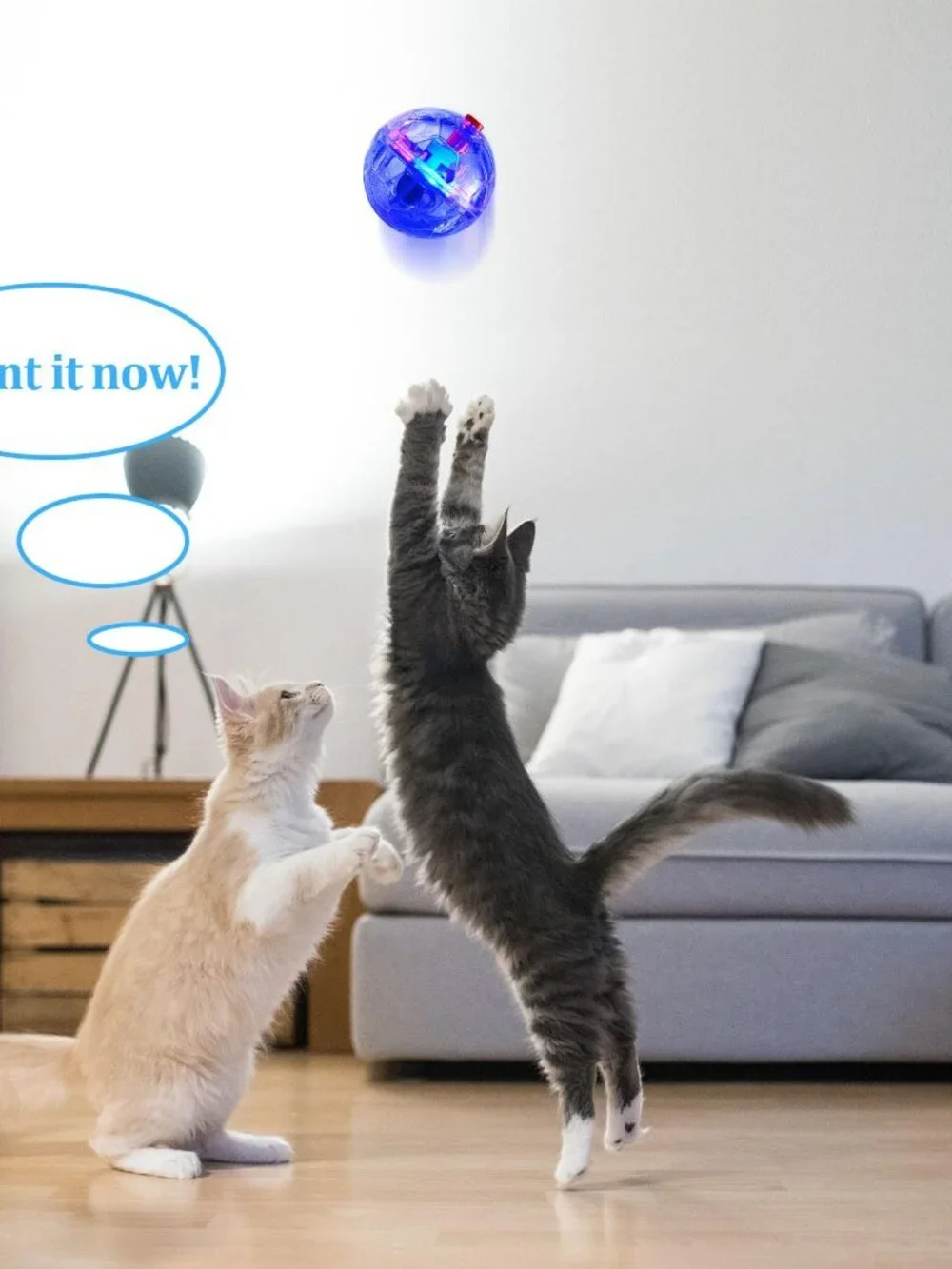 Frienda 4 Pieces Ghost Hunting Cat Ball Motion Light up Cat Balls LED Motion Act